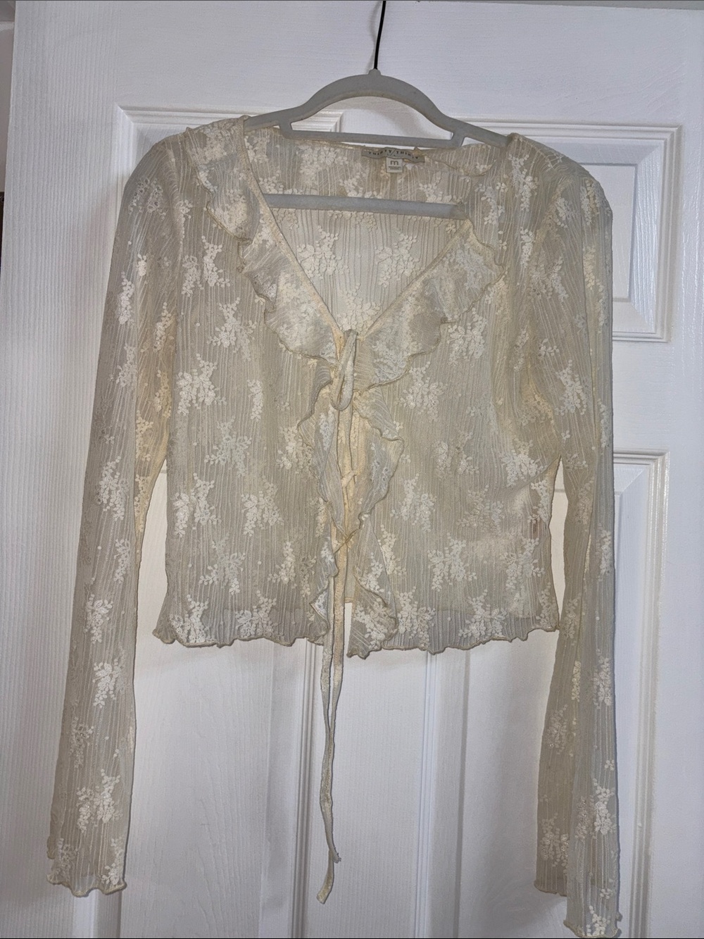 Sheer Lace Tie-Front Blouse - Cream